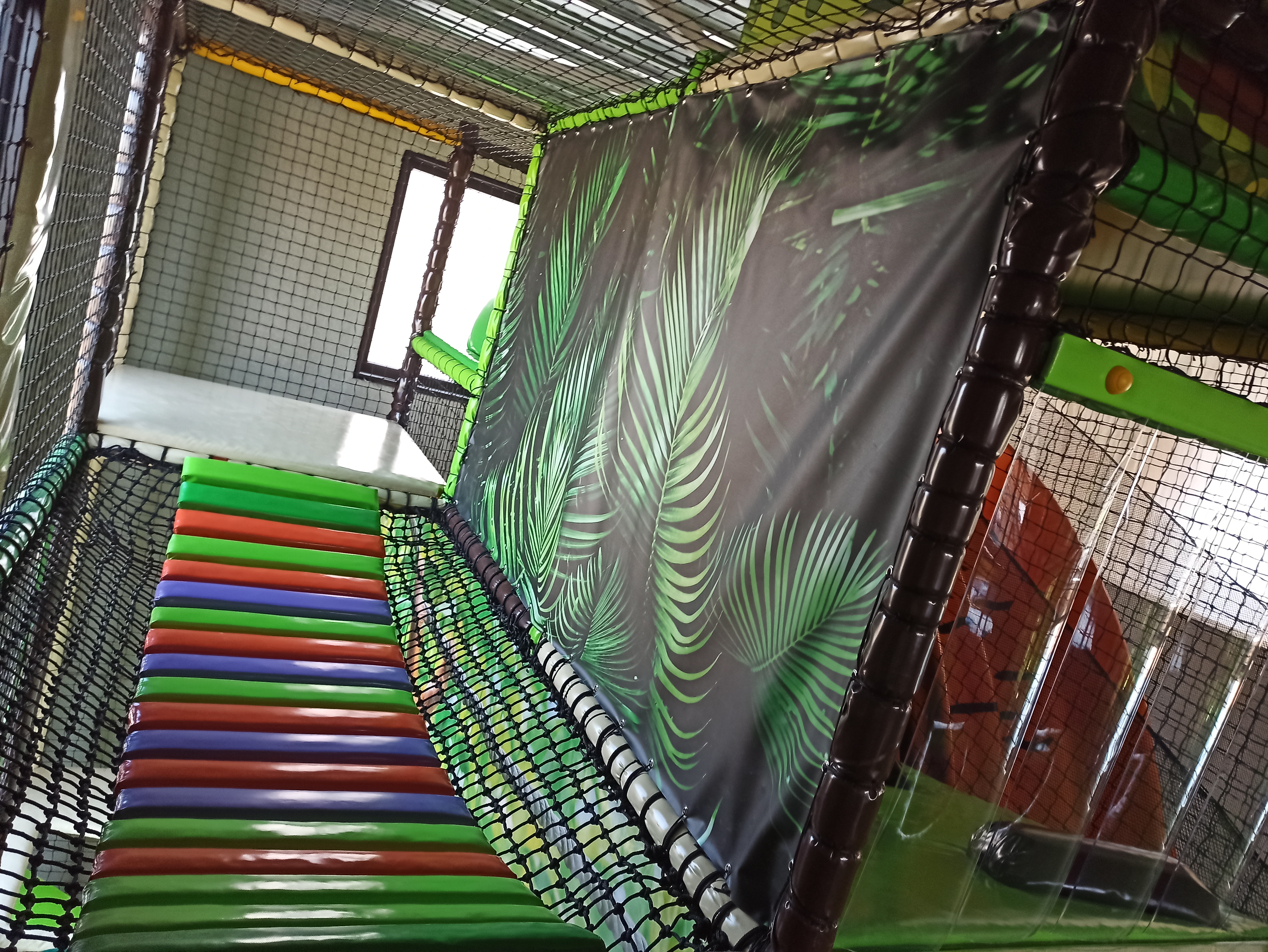 Tosta jungle