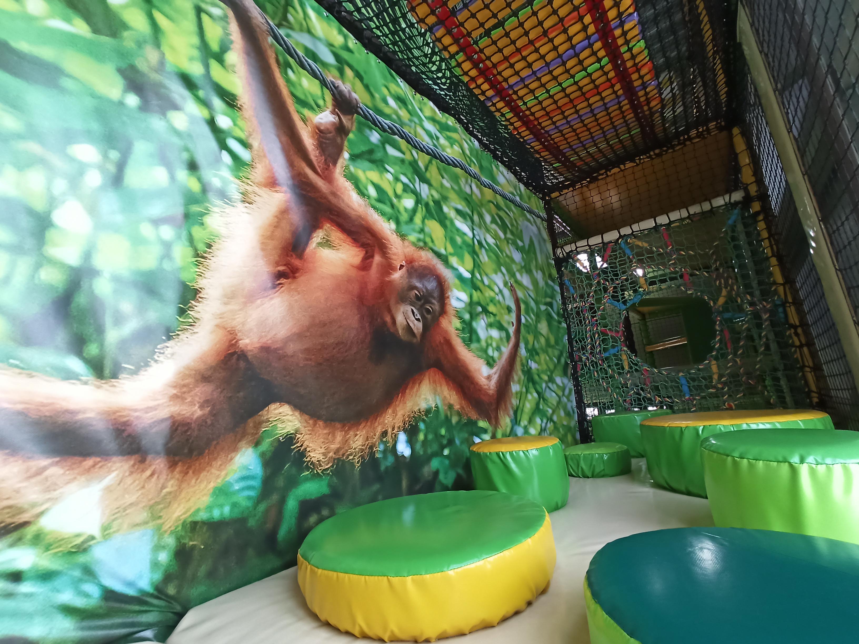 Tosta jungle