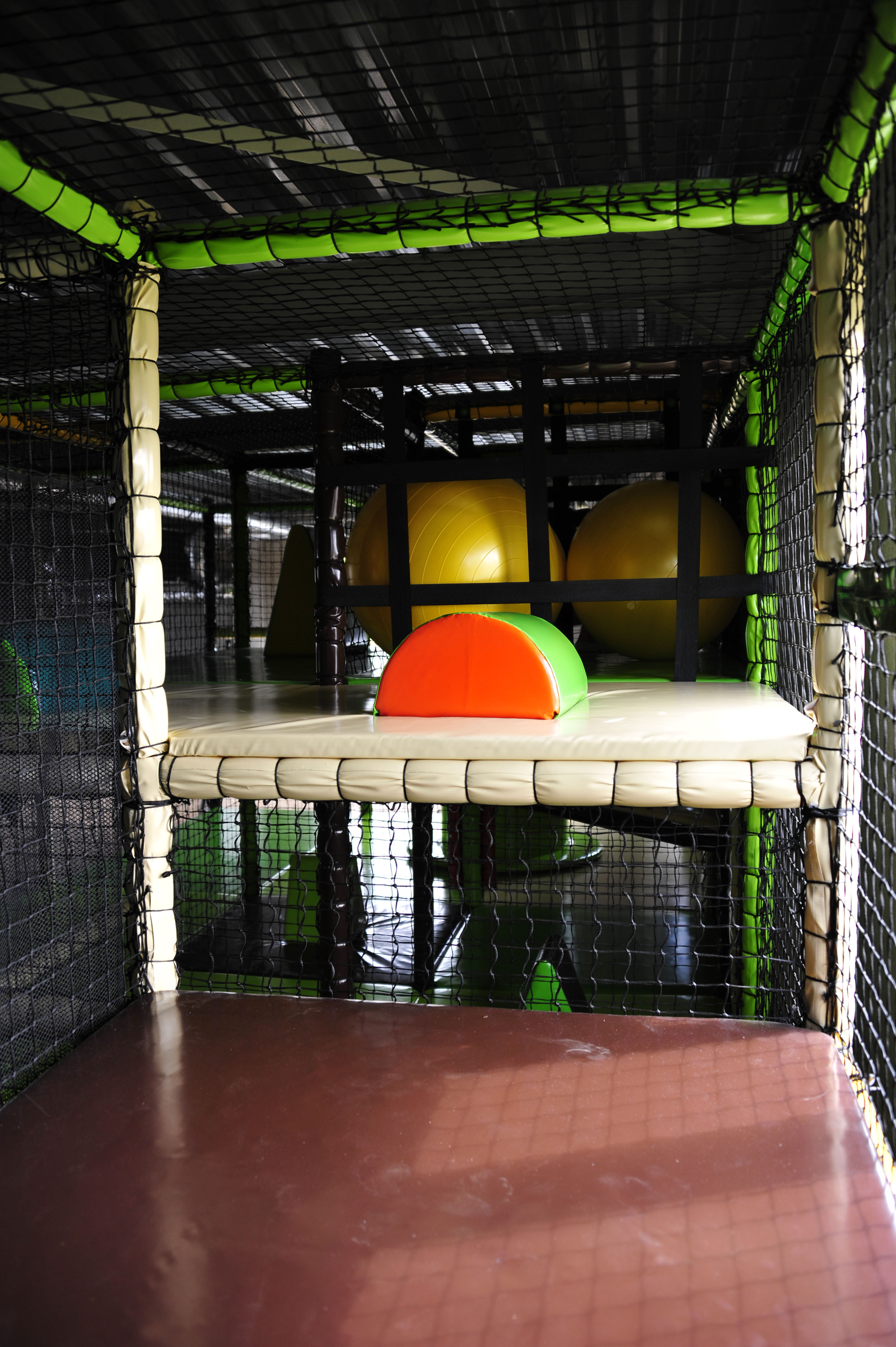 Tosta jungle